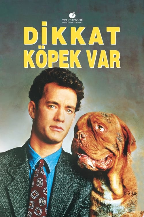 Dikkat Köpek Var 1080p Full HD izle Kanka Film izle